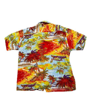 Platonic Seth Rogen Hawaiian Shirt USA Jackets